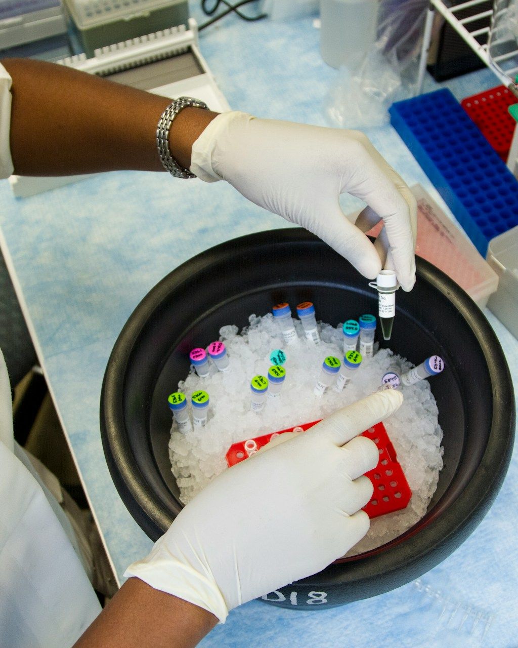 Gloved hands handling sample vials during preparation